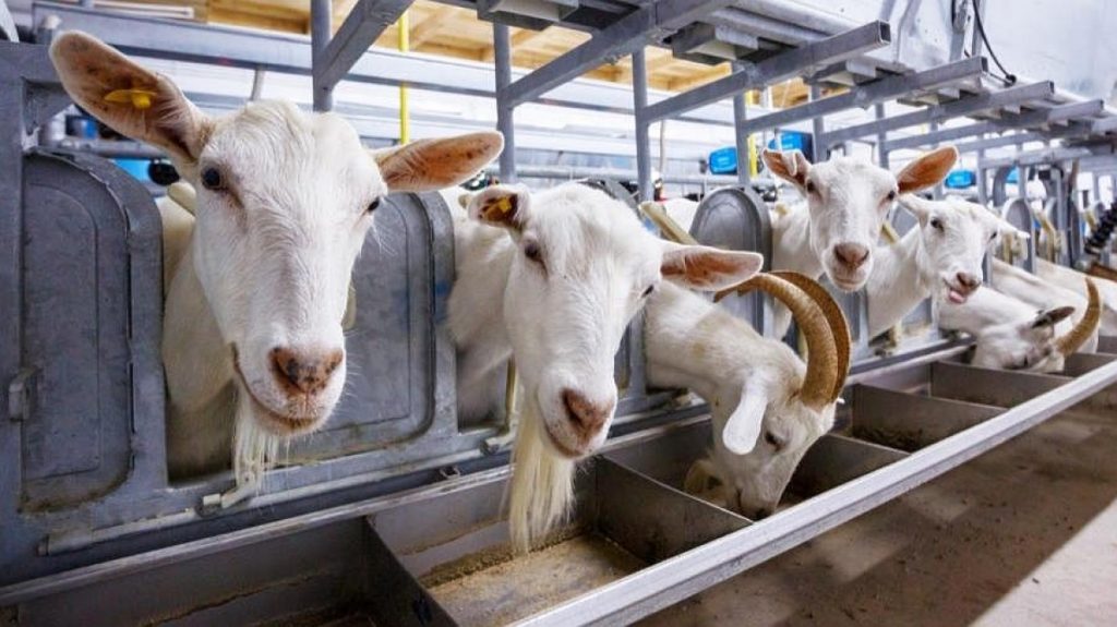 Fundacion Mario Lopez - Nutricion para la prosperidad